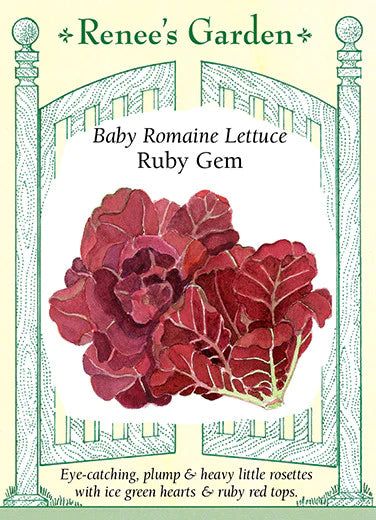 Ruby Rorher Ruby Gem Romaine Lettuce — Rohrer Seeds