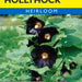 Black Hollyhock (Pkt)