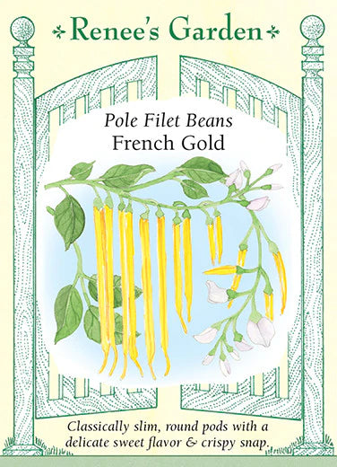 French Gold Pole Filet Bean
