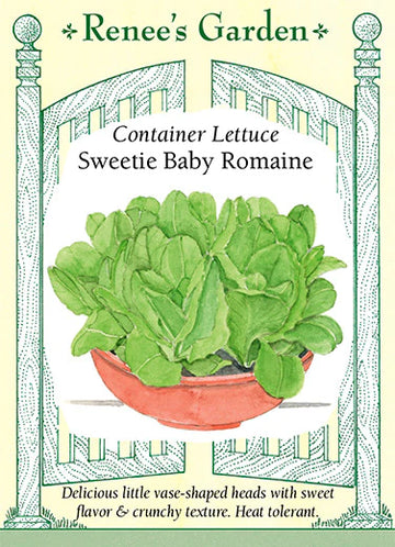 Sweetie Baby Romaine Container Lettuce
