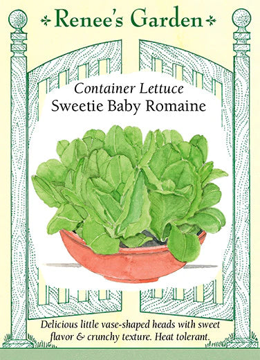 Sweetie Baby Romaine Container Lettuce