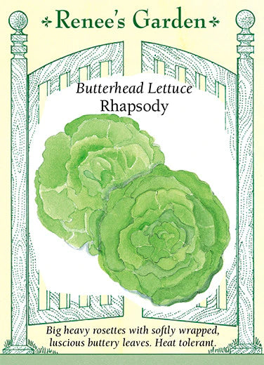 Rhapsody Butterhead Lettuce