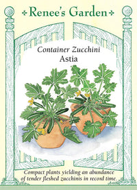 Astia Container Zucchini