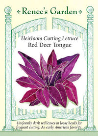 Red Deer Tongue Lettuce