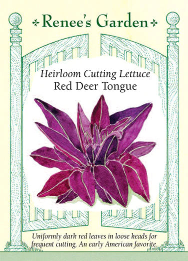 Red Deer Tongue Lettuce