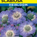 Scabiosa Pincushion Mixed Colors (Pkt)