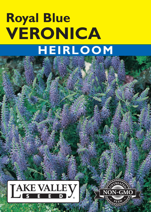 Veronica Royal Blue (Pkt)