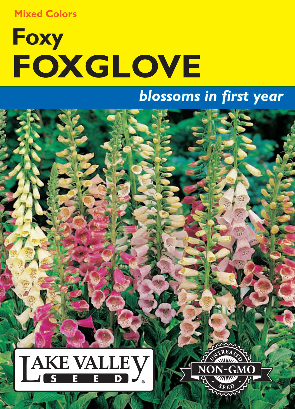 fox flower seed Lake Valley Foxglove Foxy Dwarf Mixed Colors Seed