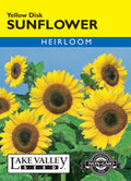 Yellow Disk Sunflower (Pkt)
