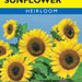 Yellow Disk Sunflower (Pkt)