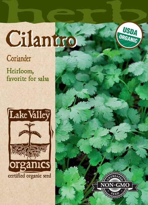 Organic Cilantro (Coriander)