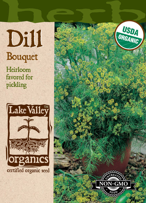 Organic Dill - Bouquet