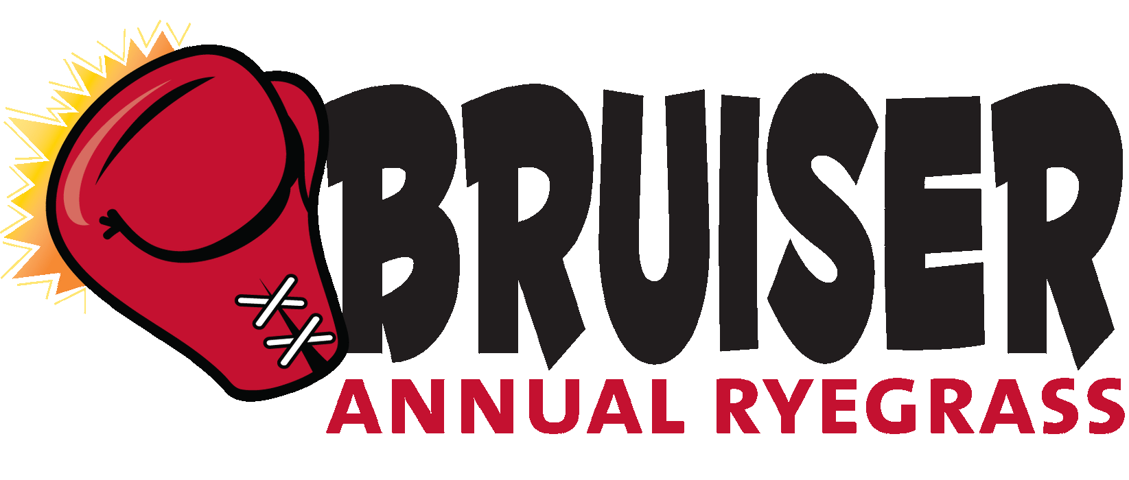 Bruiser Annual Ryegrass - Forage Use