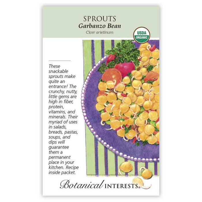 Garbanzo Beans Sprouting Seeds