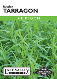 Tarragon (Pkt)