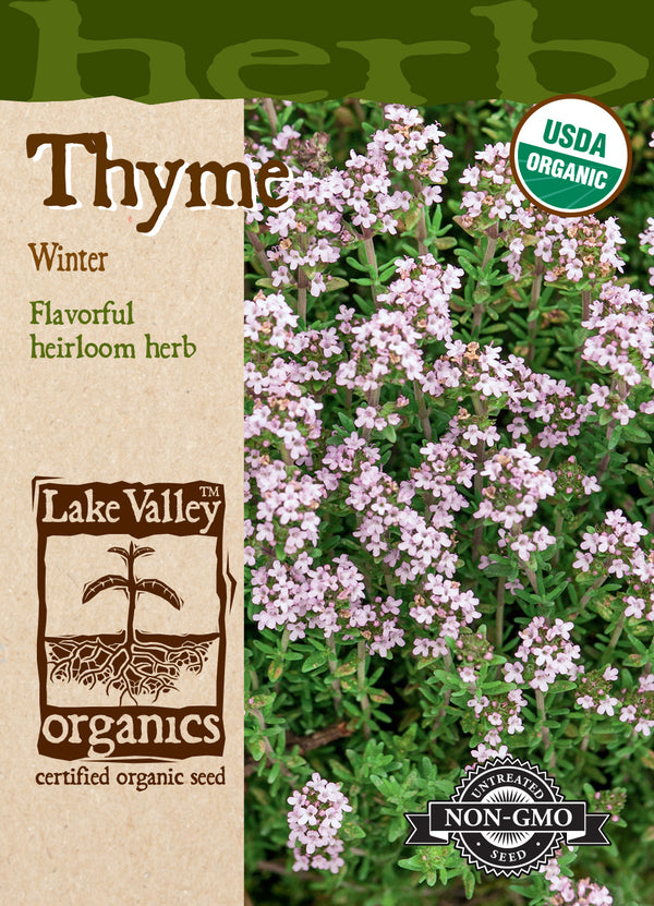 Organic Thyme - Winter (Pkt)