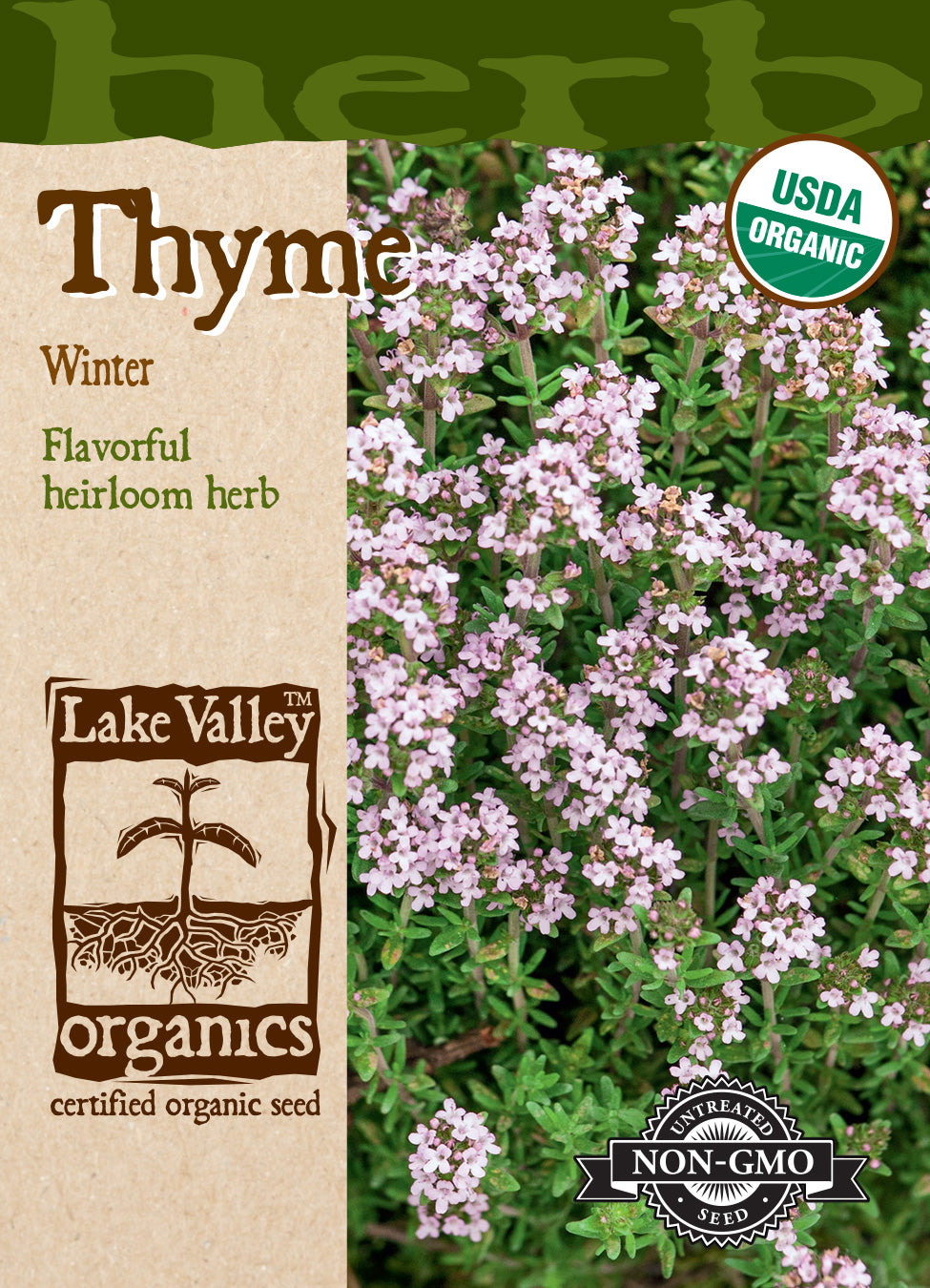 Thyme - Organic