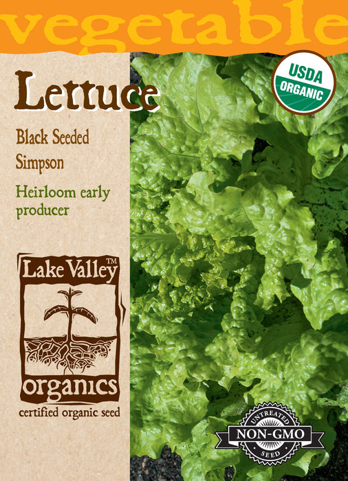 Organic Black Seeded Simpson Lettuce