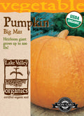 Organic Big Max Pumpkin (Pkt)