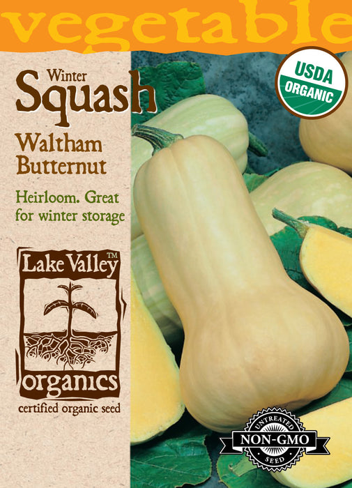 Organic Waltham Butternut Squash