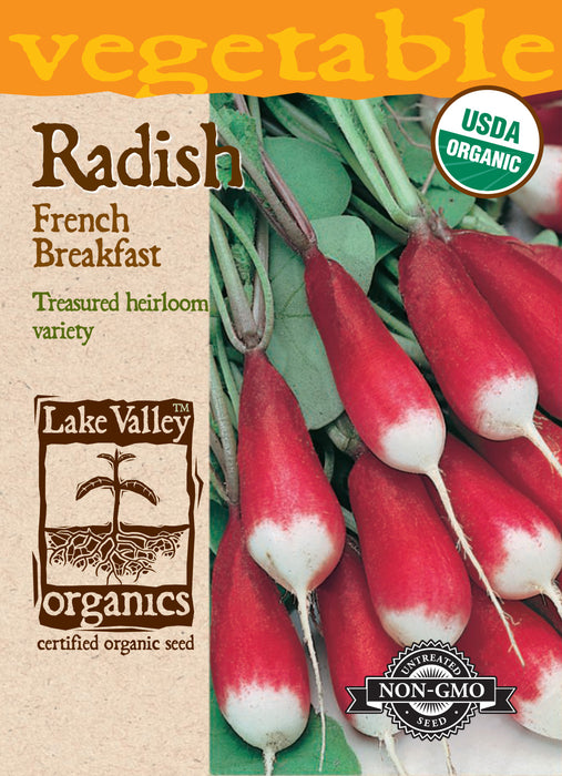 Organic French Breakfast Radish
