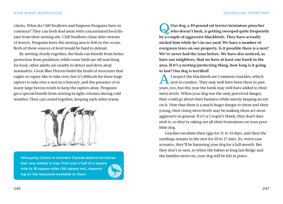 Bird Watching Answer Book