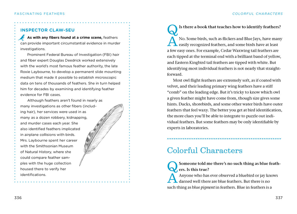 Bird Watching Answer Book