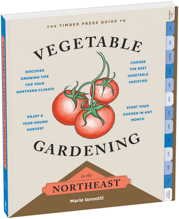 Guide to Vegetable Gardening in Northeast