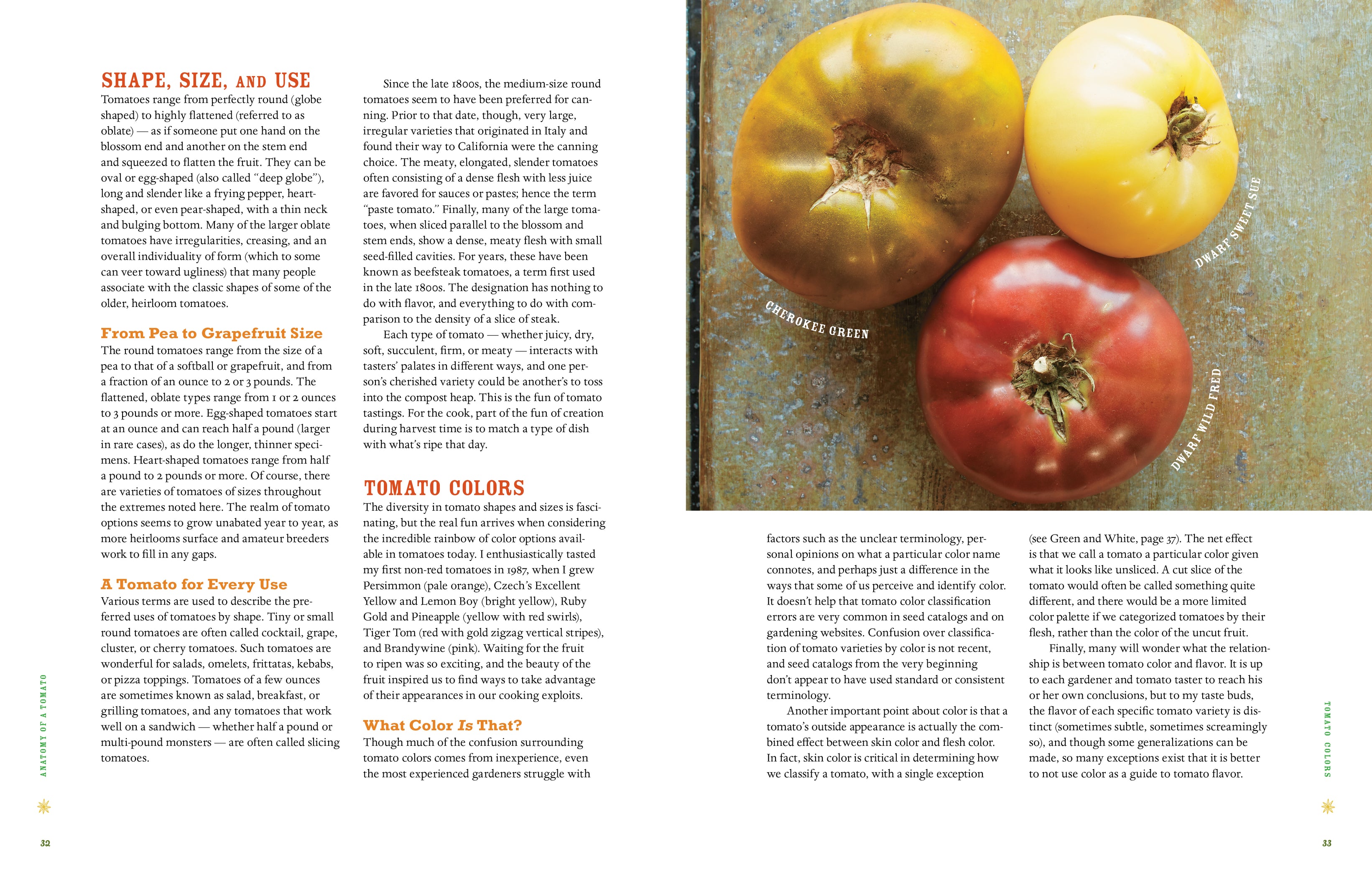 Epic Tomatoes — Rohrer Seeds