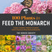 Image of 100 plants to feed the monarch book