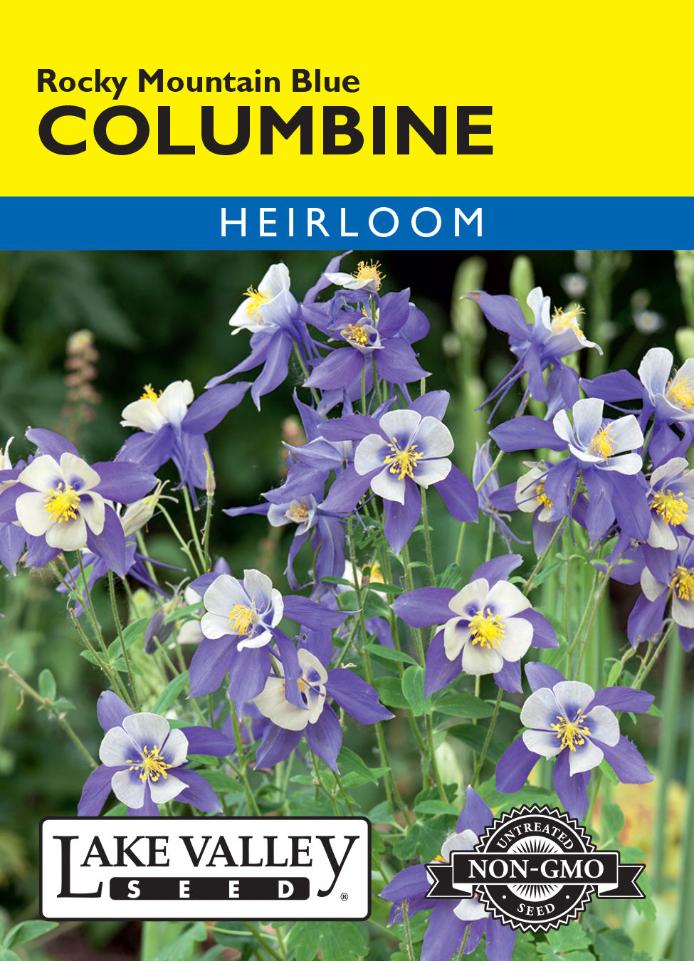 colorado columbine flower seeds Rocky Mountain Blue Columbine
