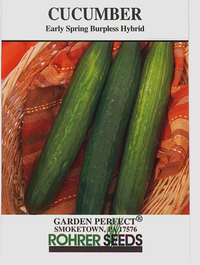 Early Spring Burpless Hybrid Cucumber Seeds — Rohrer Seeds