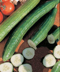Garden Sweet Hybrid Cucumber