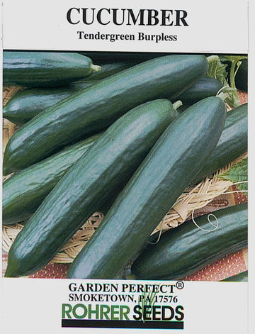 Tendergreen Burpless Cucumber