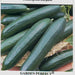 Tendergreen Burpless Cucumber Seeds