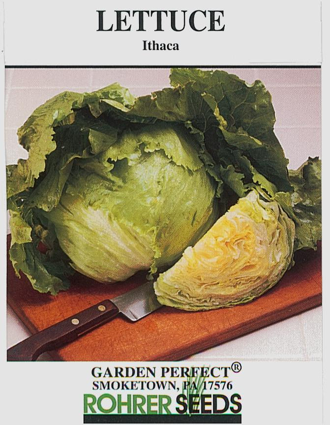 Lettuce - Iceberg — Rohrer Seeds