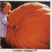Dill's Atlantic Giant Pumpkin Seeds