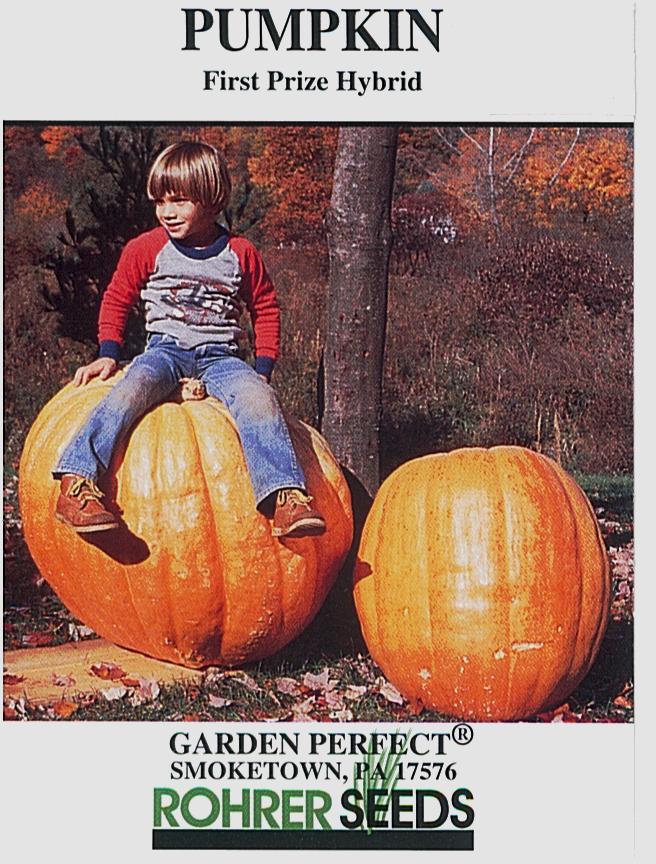 where to buy pumpkin seeds for planting First Prize Pumpkin Seeds First Prize Pumpkin (1/4 Lb)