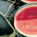 Sugar Baby Watermelon Seeds