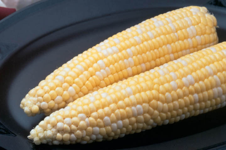 Two ears of ambrosia bi color sweet corn on a black plate.