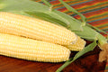Bodacious R/M Sweet Corn