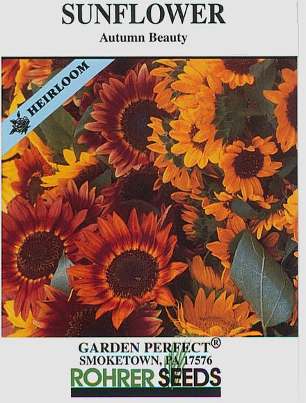 Sunflower Seeds — Rohrer Seeds