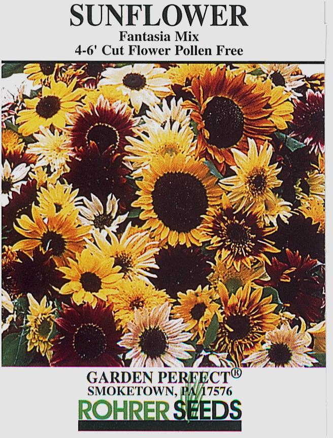 cut flower sunflower seeds Fantasia Mix Sunflower Seeds — Rohrer Seeds