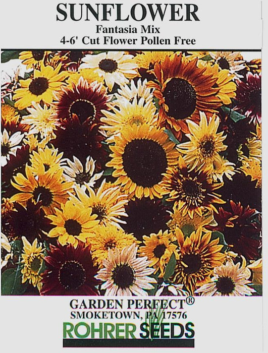 mixed sunflower seeds for planting Fantasia Mix Sunflower Seeds — Rohrer Seeds