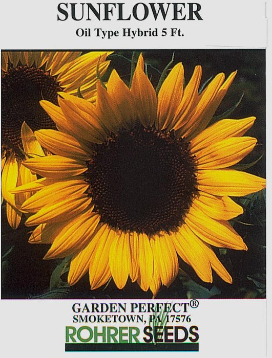 types of sunflower seeds for planting Oil Type Hybrid Sunflower Seeds — Rohrer Seeds