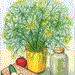 Organic Dill Seeds - USDA Bouquet (1,000 Seeds)