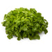 Green Oakleaf Lettuce Seeds