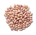 Dwarf Taylor Horticultural Bean Seeds