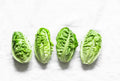 Little Gem Romaine Lettuce