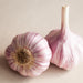 Chesnok Red Hardneck Garlic Bulbs (2 Bulbs/Pk)